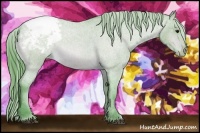 Horse Color:Watercolor Bay Roan Varnish 