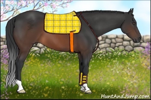 Horse Color:Brown 