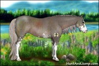 Horse Color:Silver Black Sabino 