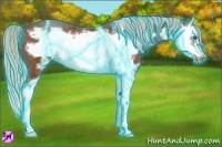 Horse Color:Thunderstruck Silver Brown Splash Frame 