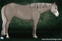Horse Color:Silver Grullo Sabino Splash