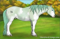 Horse Color:Watercolor Bay Pearl Splash 