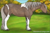 Horse Color:Silver Black Sabino Tobiano 