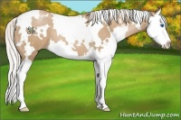 Horse Color:White Spotted Silver Black Pearl Splash 