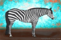 Horse Color:Blue Roan Sabino Splash