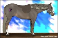 Horse Color:Liver Chestnut Sabino Frame 
