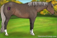 Horse Color:Silver Black 