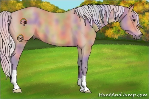 Horse Color:Nacre Watercolor Silver Bay 