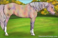 Horse Color:Nacre Watercolor Silver Bay