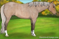 Horse Color:Silver Brown Roan 