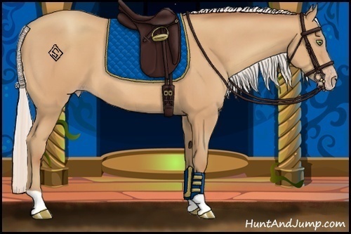 Horse Color:Silver Amber Champagne