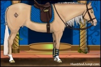 Horse Color:Silver Amber Champagne 
