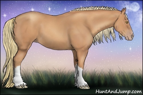 Horse Color:Gold Champagne 