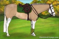 Horse Color:Silver Buckskin Splash Rabicano 