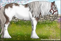 Horse Color:White Spotted Silver Black Sabino Frame 
