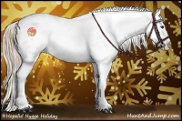 Horse Color:Red Dun Appaloosa 