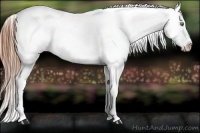 Horse Color:Sable Champagne Varnish