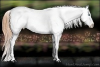 Horse Color:Sable Champagne Pearl Varnish Rabicano 