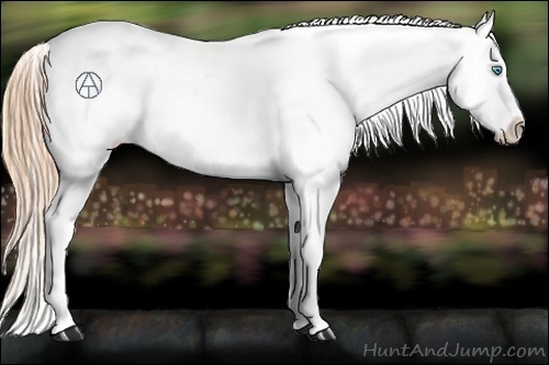 Horse Color:Buckskin Pearl Dun Mushroom Blanket