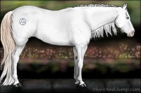 Horse Color:Buckskin Pearl Dun Mushroom Blanket