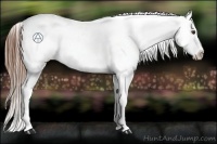 Horse Color:Chestnut Varnish 