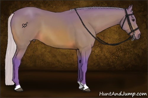 Horse Color:Watercolor Silver Bay 