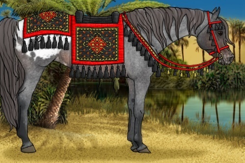 Horse Color:Brown Roan Blanket 