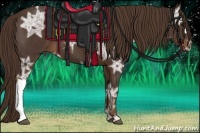 Horse Color:Liver Chestnut Ice 