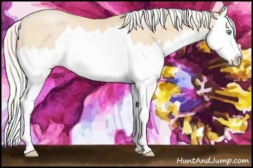 Horse Color:Silver Buckskin Pearl Sabino Splash 