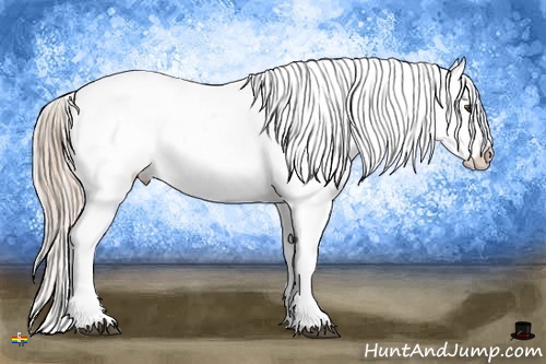 Horse Color:Palomino Dun Splash Appaloosa 