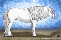 Horse Color:Palomino Dun Splash Blanket