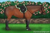 Horse Color:Brown Roan
