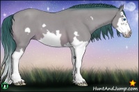 Horse Color:Watercolor Bay Roan Splash Frame 