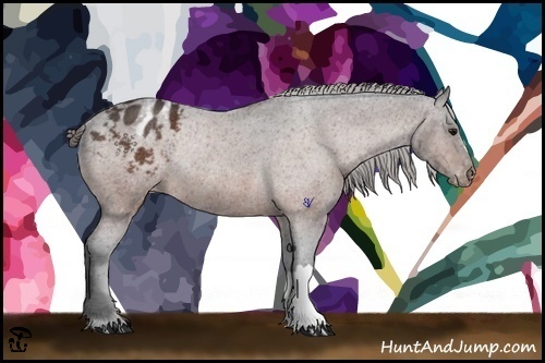 Horse Color:Bay Appaloosa Rabicano 