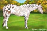Horse Color:White Spotted Chestnut Frame Blanket 