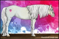 Horse Color:Silver Smoky Creme Ice Dun 
