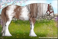 Horse Color:White Spotted Chestnut Splash 