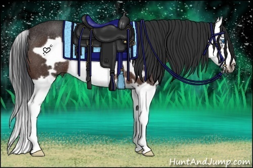 Horse Color:Bay Splash Frame Rabicano 