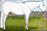 Horse Color:Gray Black 