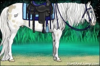 Horse Color:Silver Buckskin Roan Splash Appaloosa 