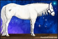 Horse Color:Cremello Dun Sabino Blanket 
