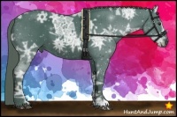 Horse Color:Watercolor Liver Chestnut Ice 
