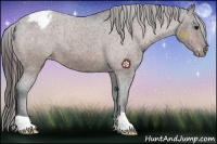 Horse Color:Brown Roan Varnish