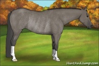 Horse Color:Smoky Grullo Rabicano 