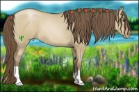 Horse Color:Grullo Pearl