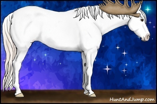 Horse Color:Palomino Roan Blanket 