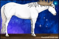 Horse Color:Palomino Roan Appaloosa