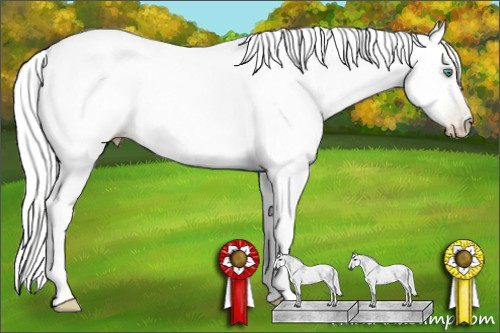 Horse Color:Gray Smoky Black Pearl Rabicano 