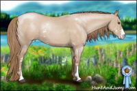 Horse Color:Grullo Pearl Sabino