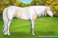 Horse Color:Silver Classic Champagne Pearl Sabino Tobiano